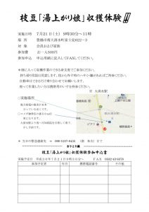 チラシ枝豆30のサムネイル